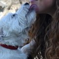 犬の唾液にダイエッ…