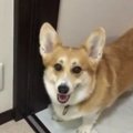 靴下遊びをやめるこ…