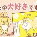 ただの犬好きです。…