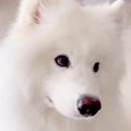 業者さんが家に来た…