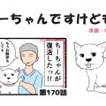 ちーちゃんですけど…