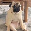 こたつ布団を片付け…