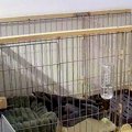 留守番中の『赤ちゃ…