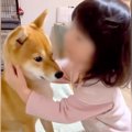 小さな女の子が『犬…