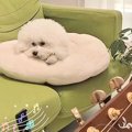 お母さんの弾き語り…