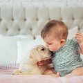 知ってた？犬にも使…