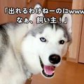 『出れるわけないよ…