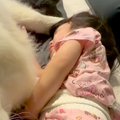 朝8時、なかなか起き…