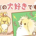 ただの犬好きです。…