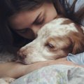 【獣医師監修】犬の…