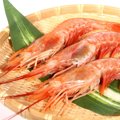 犬はエビを食べても…