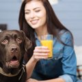 犬に与えてはいけな…