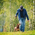 犬にもっと楽しんで…