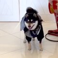 結婚式で『新郎新婦…
