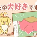 ただの犬好きです。…