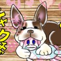 僕のはなぺちゃ工房 …