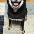 ニコニコ笑顔を浮か…