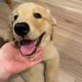「今日、会社休みま…