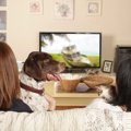 一緒にテレビを見る…