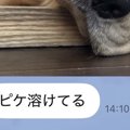 夏休みで家にいる娘…