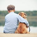 犬が人間を慰める２…