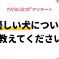 【アンケート実施中…