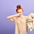 『体臭が強い』犬種4…