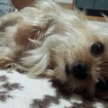 眠らせて…午前３時に…