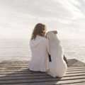 犬が飼い主に『あり…