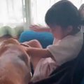 海外に行くため『犬…