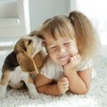 『人が大好きな犬』…