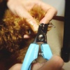犬の爪切りの手順と…