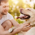 犬から『好かれる人…