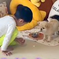 リンゴを食べている…