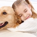 犬に愛情を伝えるこ…