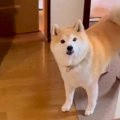 『まだ帰ってきてい…