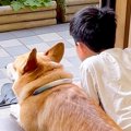お休みの日、男の子…