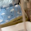 夜、犬から目を離し…