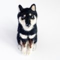 犬毛フェルトで愛犬…