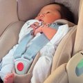 『もうすぐ家族が増…