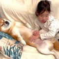 5歳の女の子が『犬の…