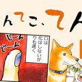 てんてこ、てん。【…