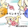 かわうそちわわ。（1…