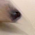 『クリアファイル』…