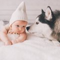 『赤ちゃんと犬の初…