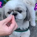 ミミズが大量の田舎…