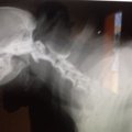 心拍数急上昇！どき…
