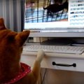そんなところで何し…