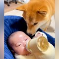 『赤ちゃんが生まれ…