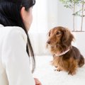 犬が飼い主に『文句…